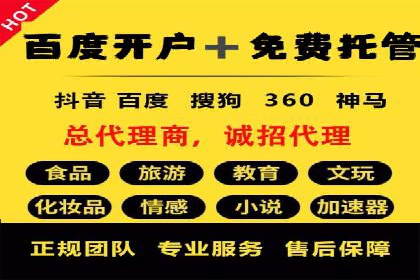 SEM代运营服务公司成功案例解析